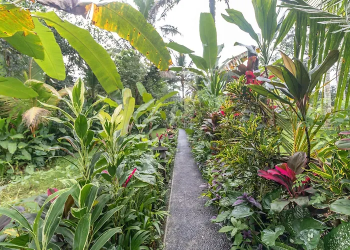 مزرعة للإقامة Be Bali Hut Farm